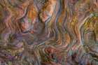 USA, Washington State, Fort Flagler State Park. Detail of driftwood grain. Art Print